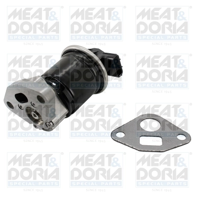 EGR Valve